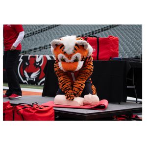 Who Dey, Cincinnati Bengals mascot