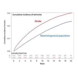 Graphic - Dementia Risk, ISC 24, ABS 67