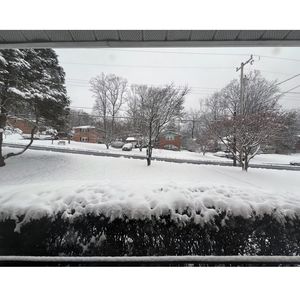 snow covered neighborhood