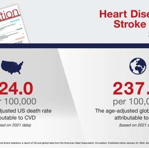 Age-Adjusted CVD Deaths US and Global 2024 statistics infographic