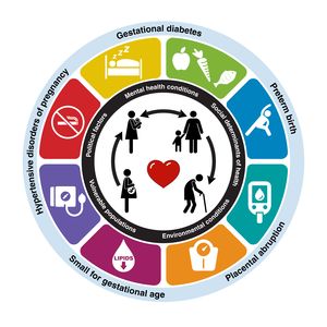 Circulation Infographic on CVD risk factors and pregnancy