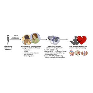 Circulation Infographic on pregnancy and hypertension