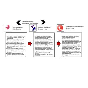 Circulation Infographic on the 4th Trimester 