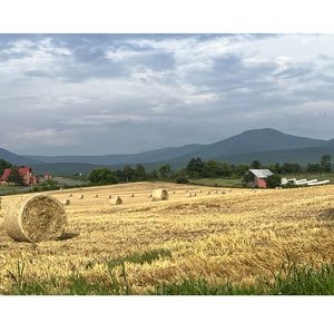 Deaths from cardiovascular disease increased among younger U.S adults in rural areas