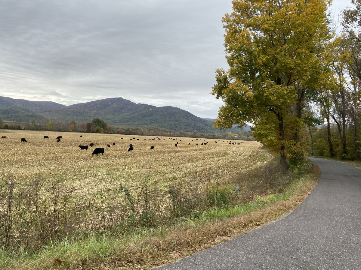 Rural roadway