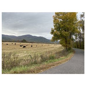 Rural roadway