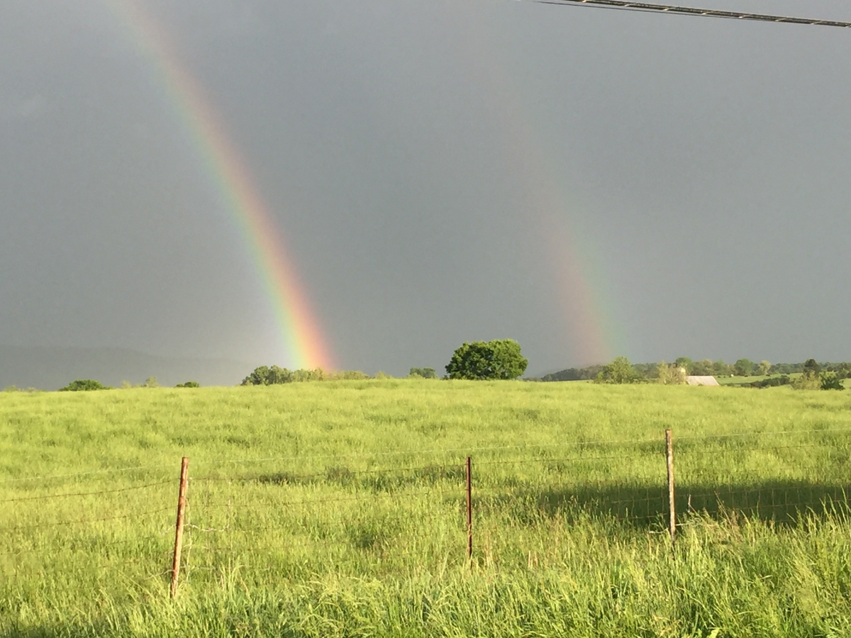 Double rainbow in the country