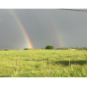 Double rainbow in the country