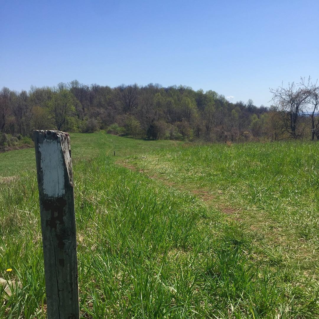 Out in the country