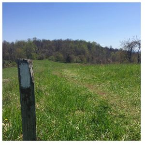 Out in the country