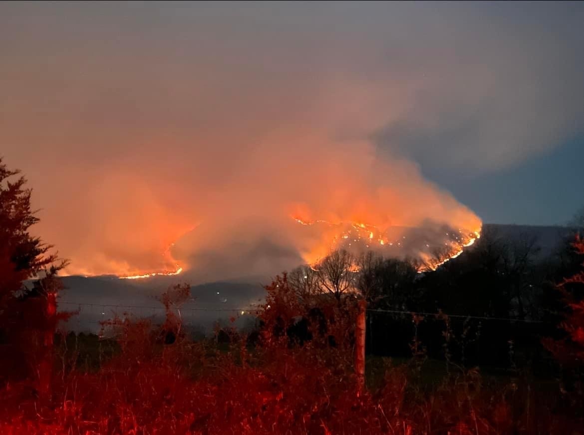 Wildfire