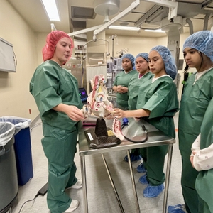 STEM event inspires young women in Tarrant County to pursue careers in science, technology, engineering, and math 
