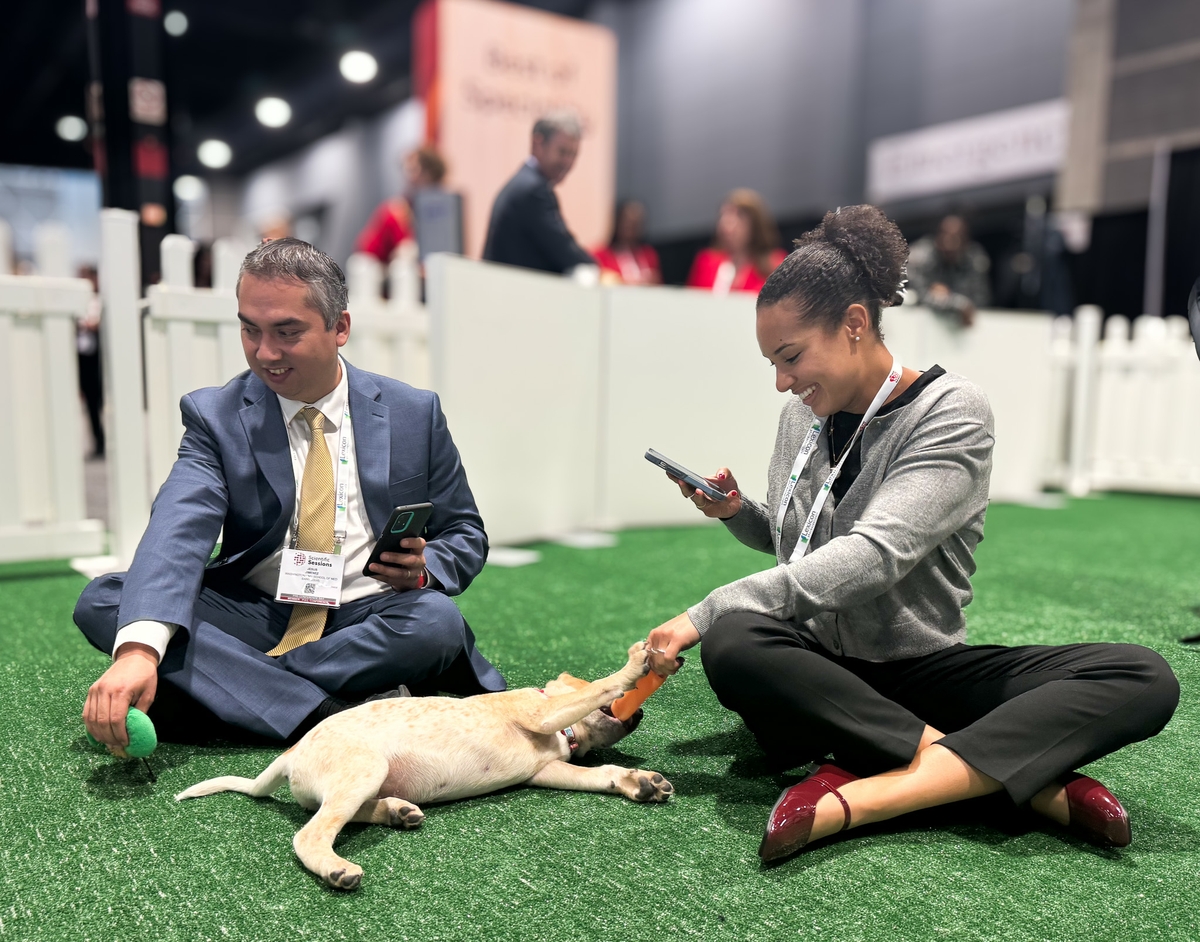 SS24 Attendees in puppy snuggle zone