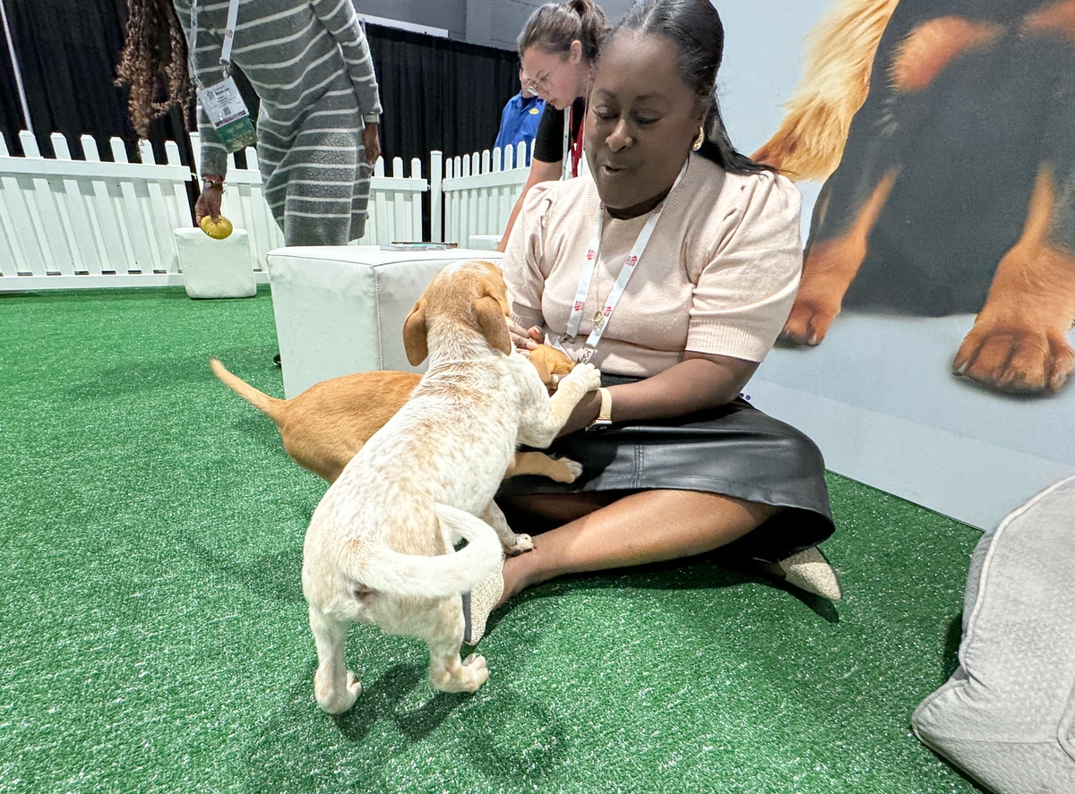 SS24 Puppy snuggle zone