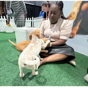 SS24 Puppy snuggle zone