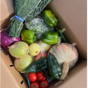 Packed by Linn County staff, free fresh and local food arrived on doorsteps twice a month. 
