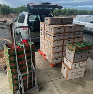 Every two weeks, fresh produce and meat from these farms would be aggregated at a central location, packed into boxes and loaded up into county and farm vans to deliver to families across Linn County.