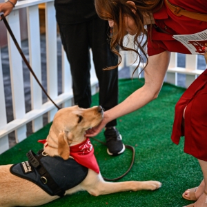 Attendees with the dogs