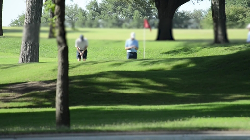 Golfers on putting green