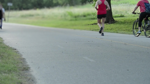 Joggers, walkers and cyclists on park path