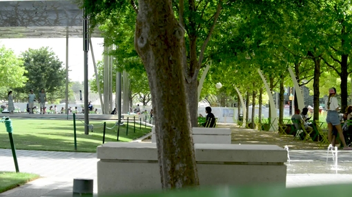 Downtown city park - green space