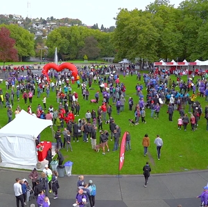 2023 Puget Sound Heart and Stroke Walk b-roll footage one