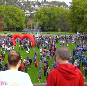 2023 Puget Sound Heart and Stroke Walk b-roll footage three