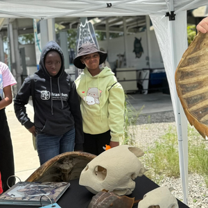 Students learning about sea turtles at animal clinic