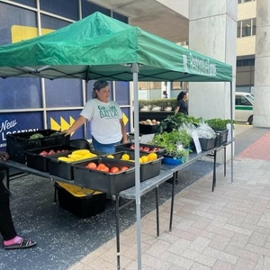 Fresh pop-up produce market along Dallas public transit in October