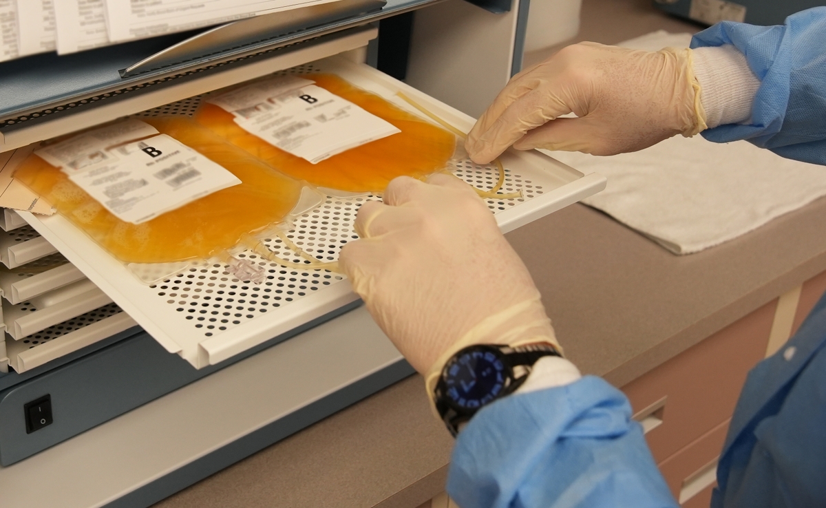 Lab staff working with platelet samples