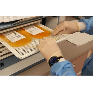 Lab staff working with platelet samples