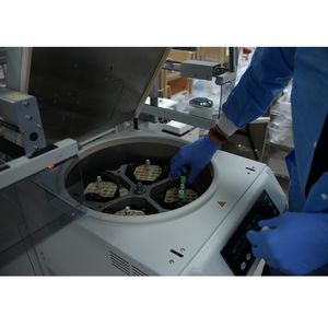 Lab tech adding vials to centrifuge