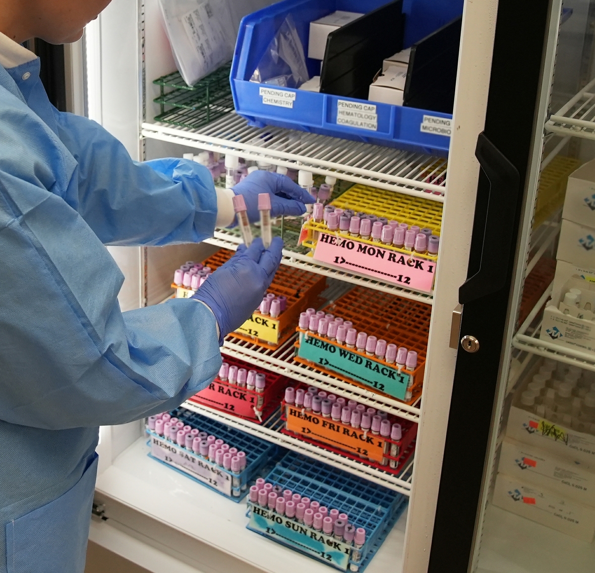 Storing blood samples in lab