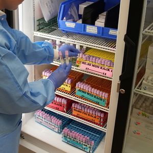 Storing blood samples in lab