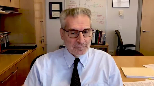 Dr. Iadecola ISC25-DP3 Teleomeres explained