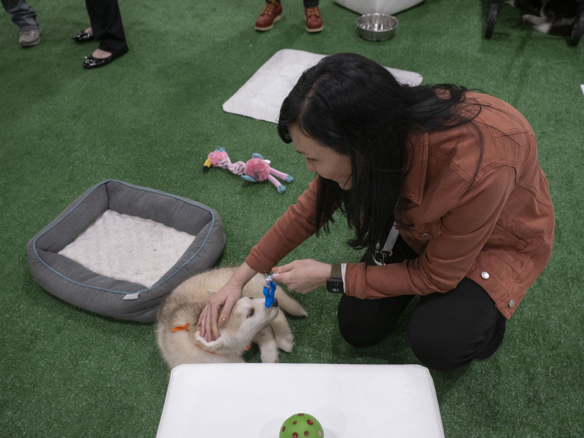 Enjoying puppy time at ISC25