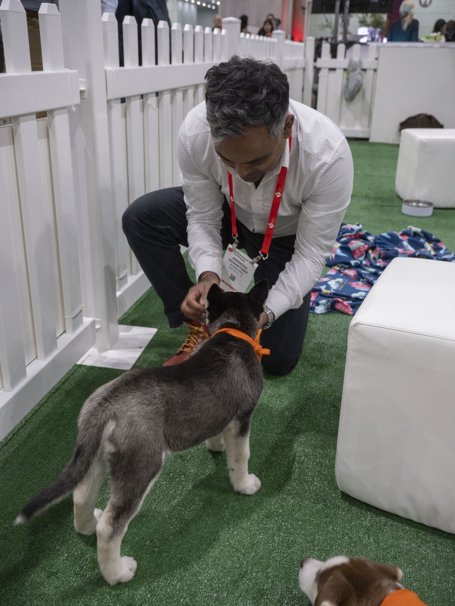 Puppies greet attendees at ISC25