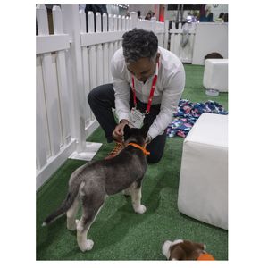 Puppies greet attendees at ISC25