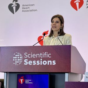 Rasha Al-Lamee at LBS 5 Briefing