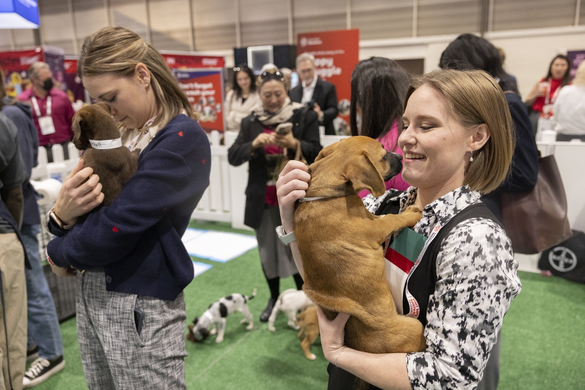 Attendees take a puppy break at SS25