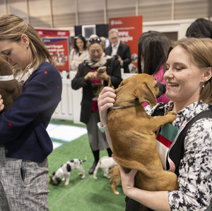 Attendees take a puppy break at SS25