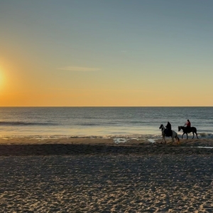 Horses and riders on the beach during the 2025 Beach Ride 