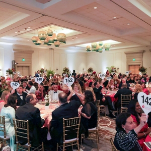 SWFL 2025 Heart Ball photo 5
