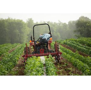 Four organizations receive funds to combat food insecurity 