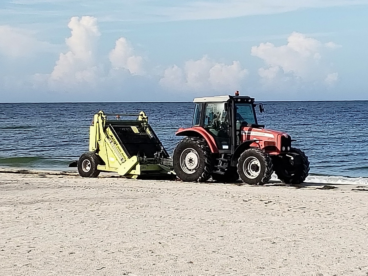 Beach clean-up