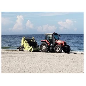 Beach clean-up