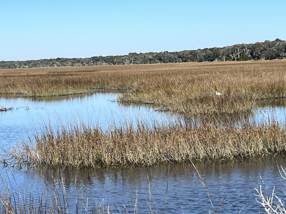 Coastal waters