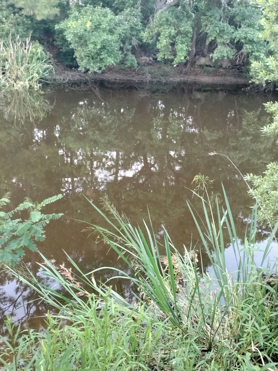 Secluded waterway