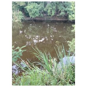 Secluded waterway