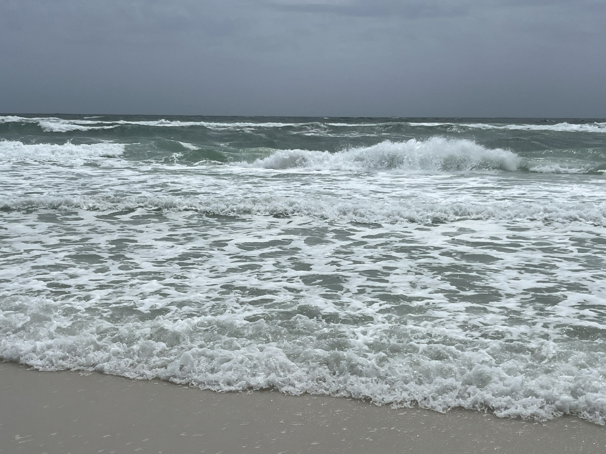 Gulf coast shoreline